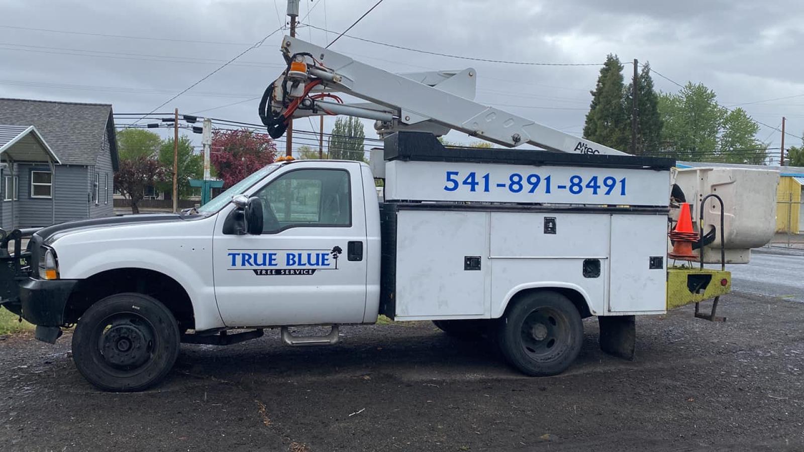 True Blue Tree Service LLC - Klamath Falls, Oregon